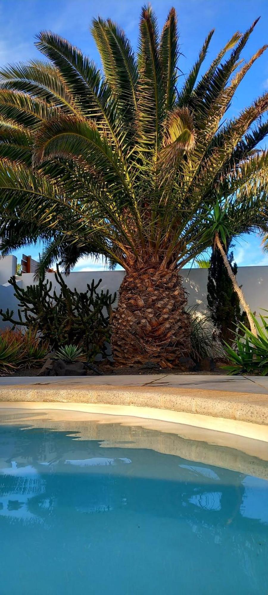 Casa Alizee, Heated Pool, Hot Tub Playa Blanca (Lanzarote) Exterior foto